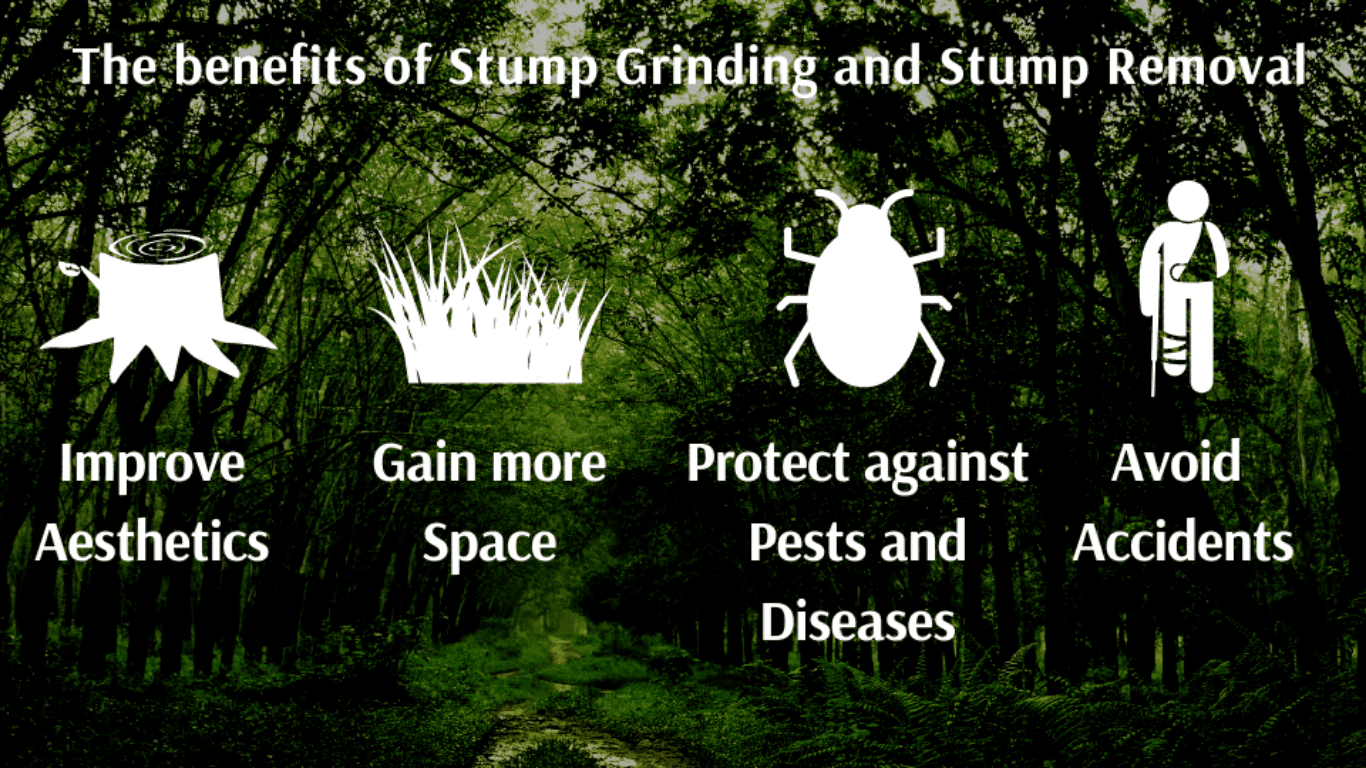 Stump Grinding avoid accidents