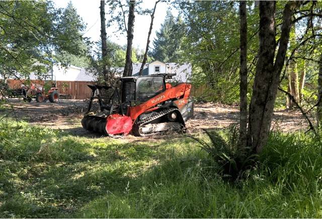 6 Reasons to choose forestry mulching and stumps grinding methods for land clearing