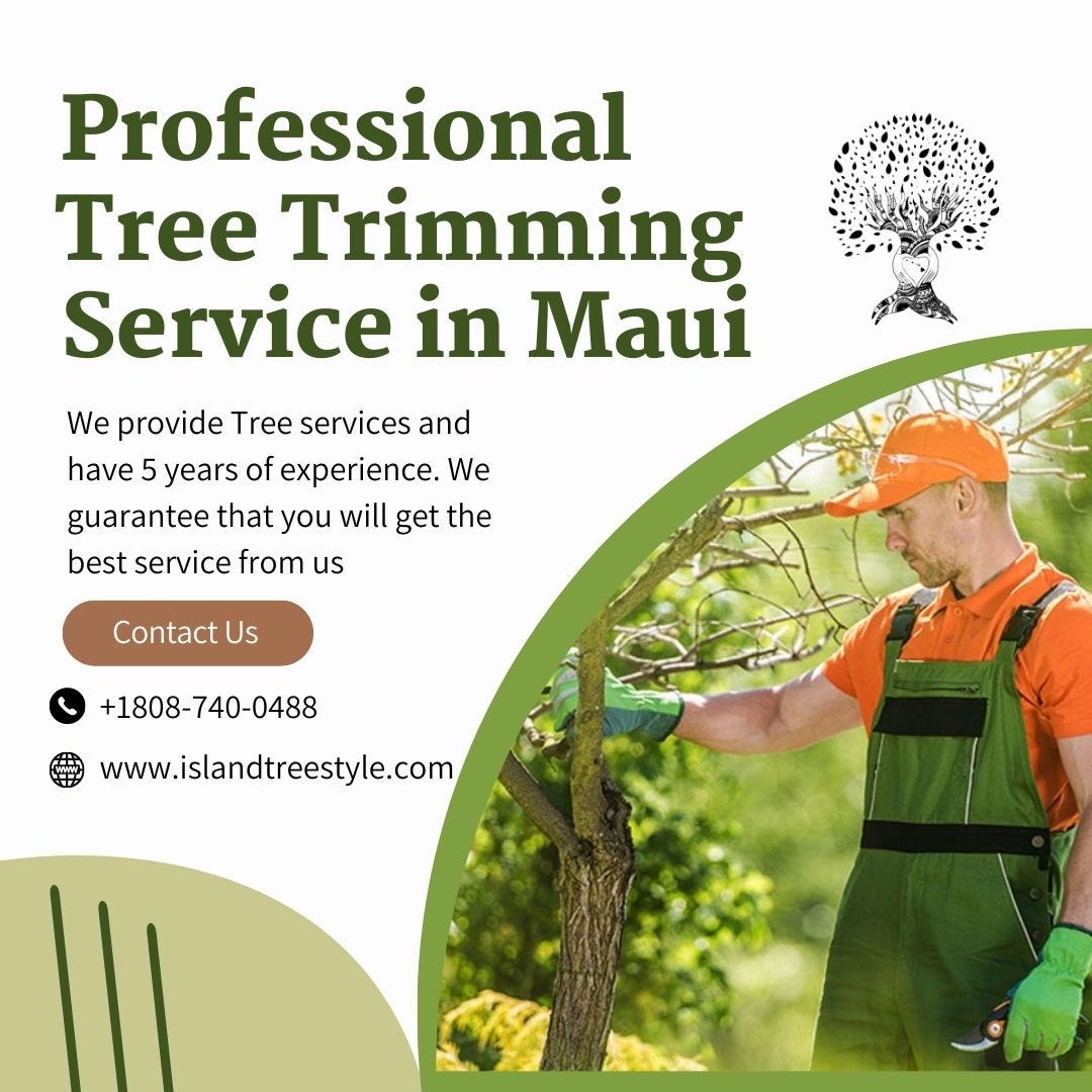 Tree Clearing Services: Shaping Landscapes 2