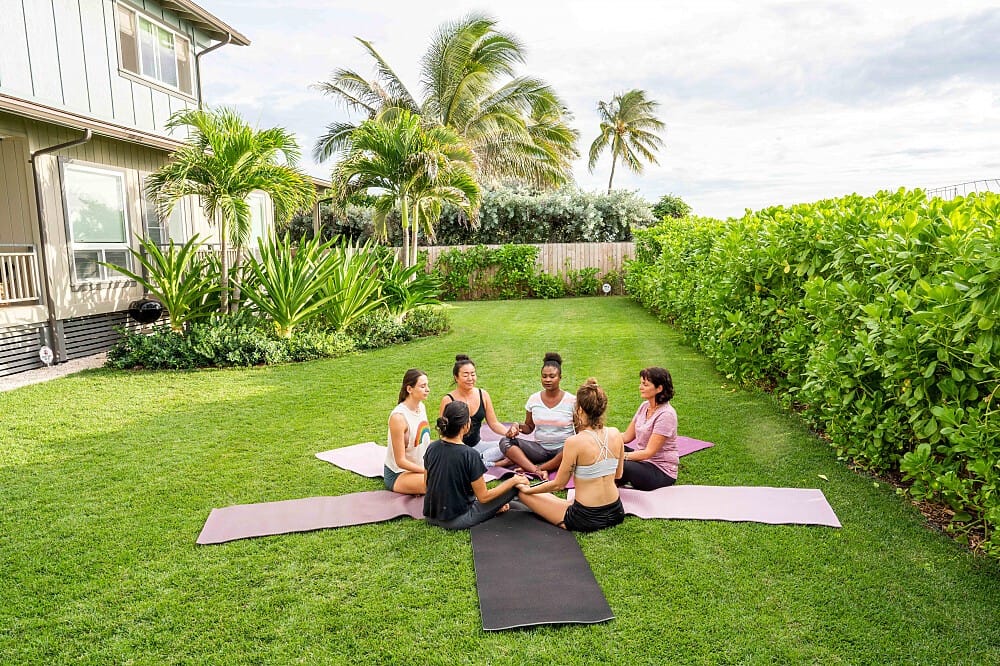 Clearing Land for Yoga Retreats: Finding Zen 2