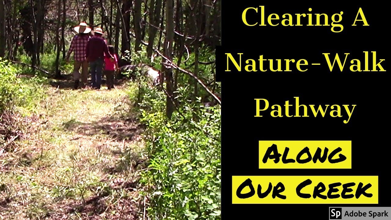 Land Clearing for Walking Paths: Strolling in Nature