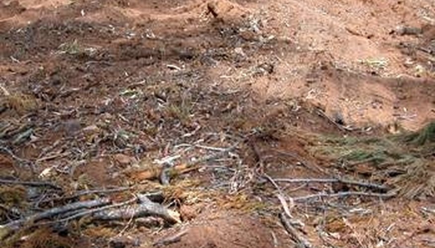 Health Hazards in Clearing: Land Clearing Health Risks 2