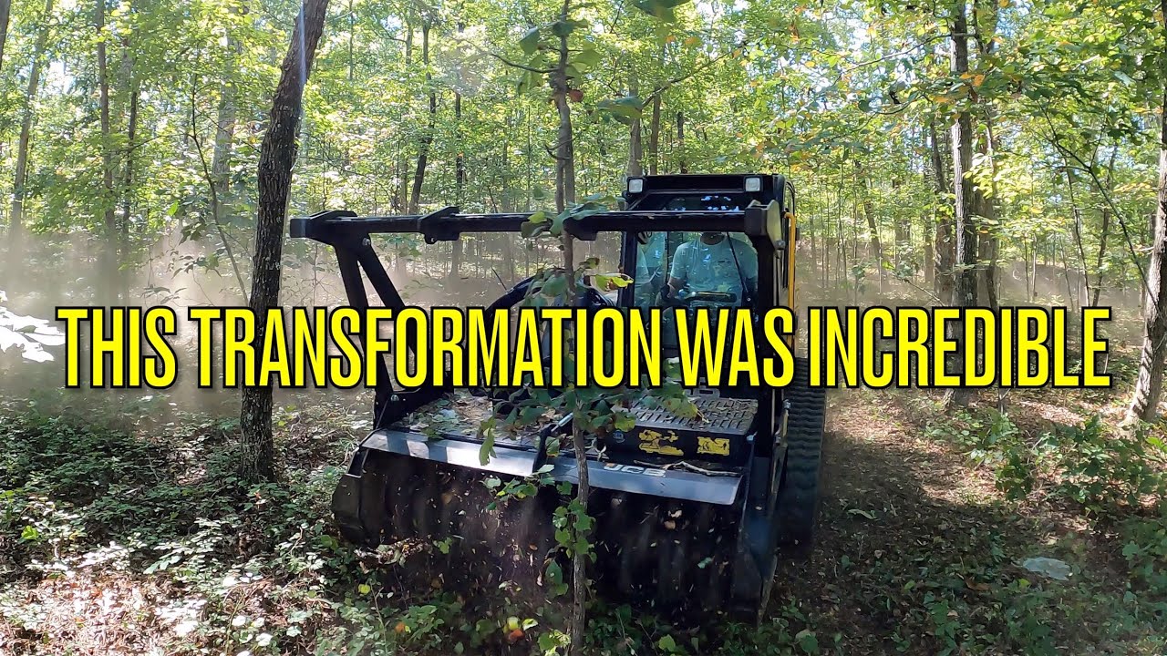 Nature's Makeover: Forestry Mulching 2