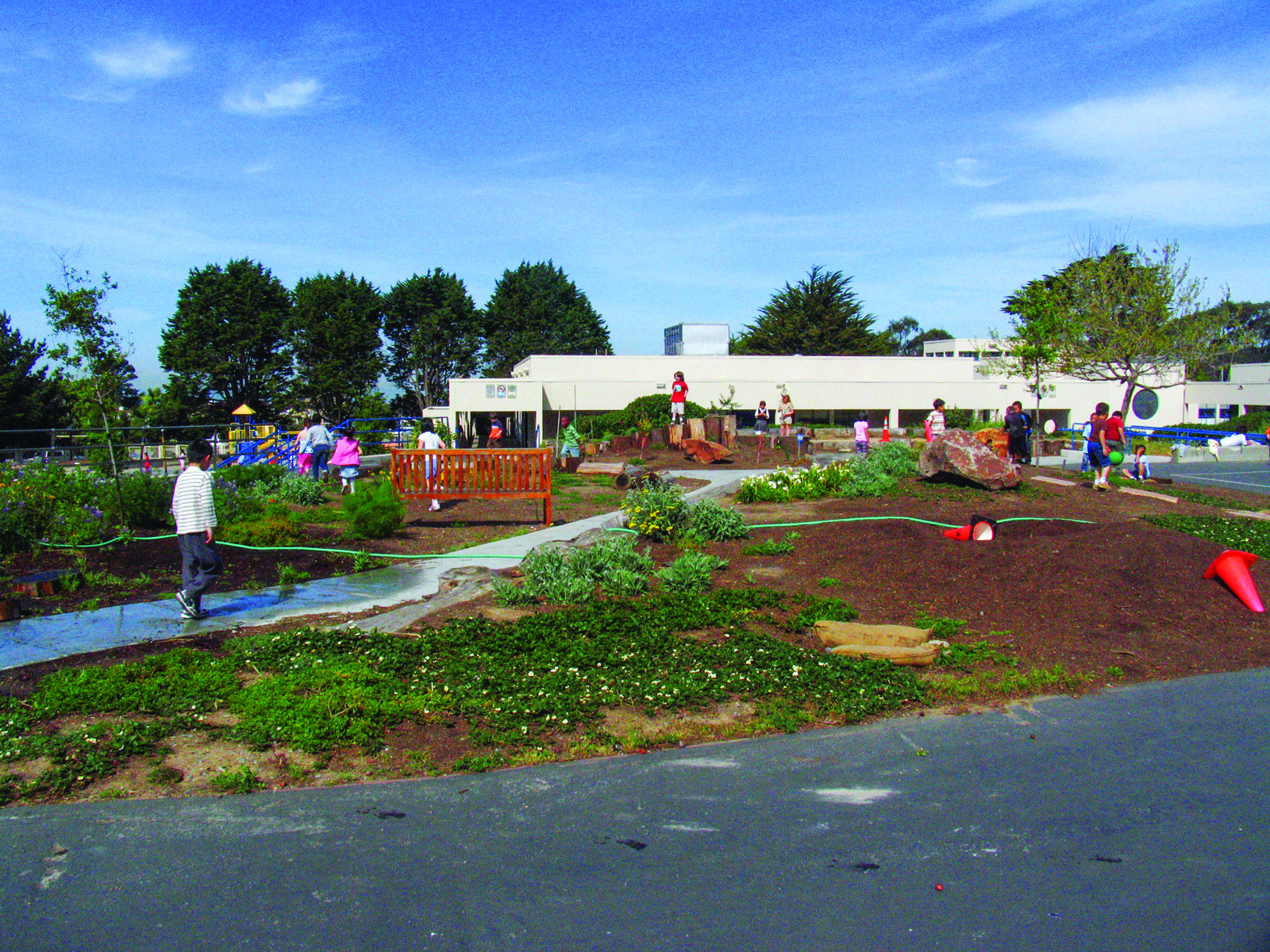 Educational Landscapes: Land Clearing for Schoolyards