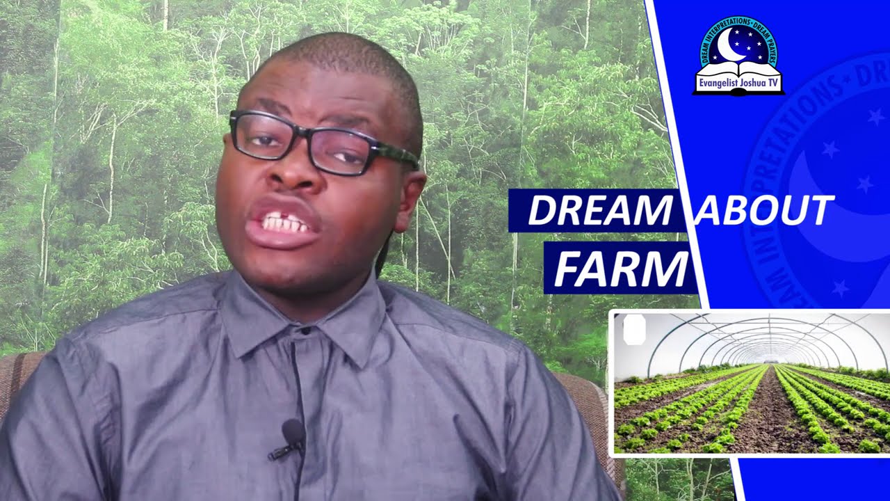 Clearing Land for Farming: Harvesting Dreams 2