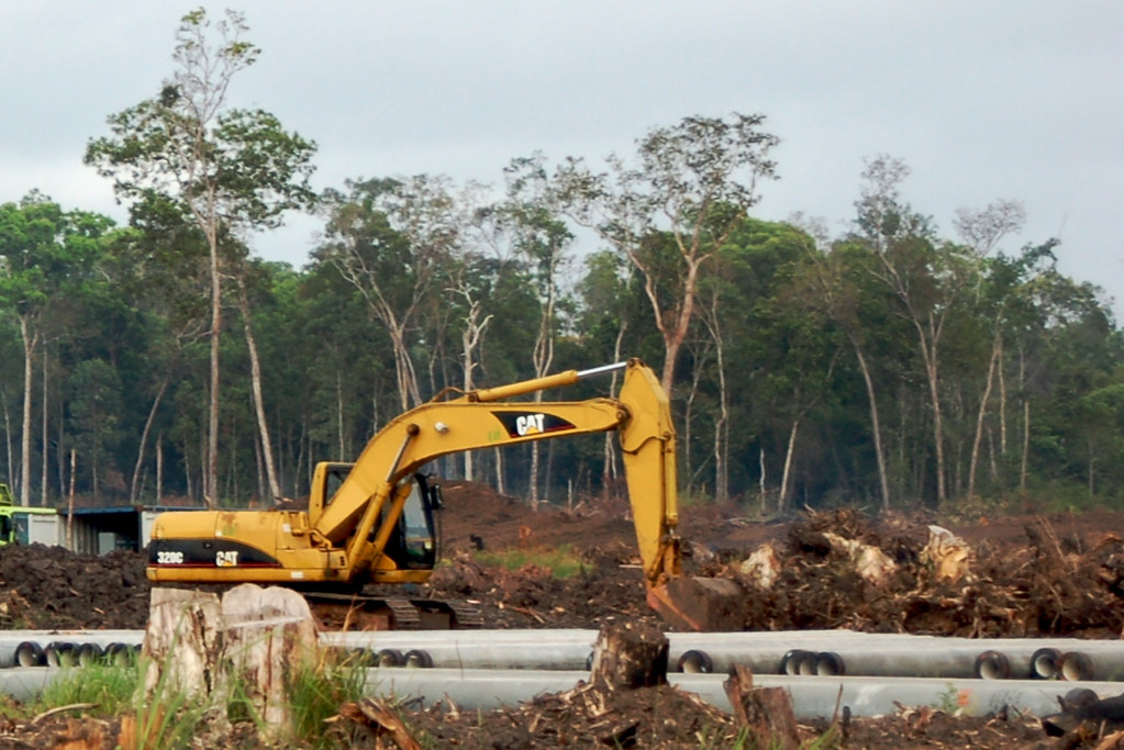 Land Clearing Community Forums: Sharing Insights