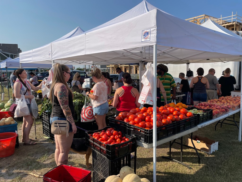 Farm to Market: Clearing for Farmers' Markets 2