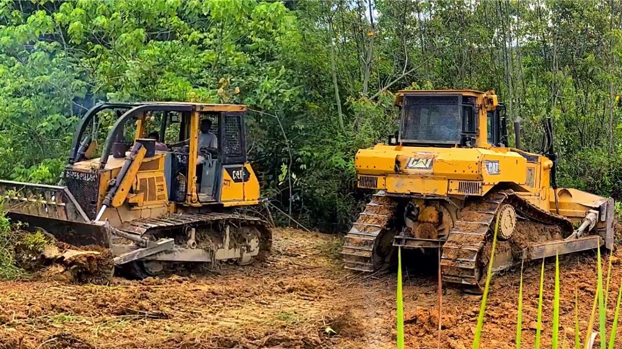 Dozer Work for Land Clearing: Heavy Duty
