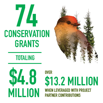 Land Clearing Grants: Funding Your Vision 2