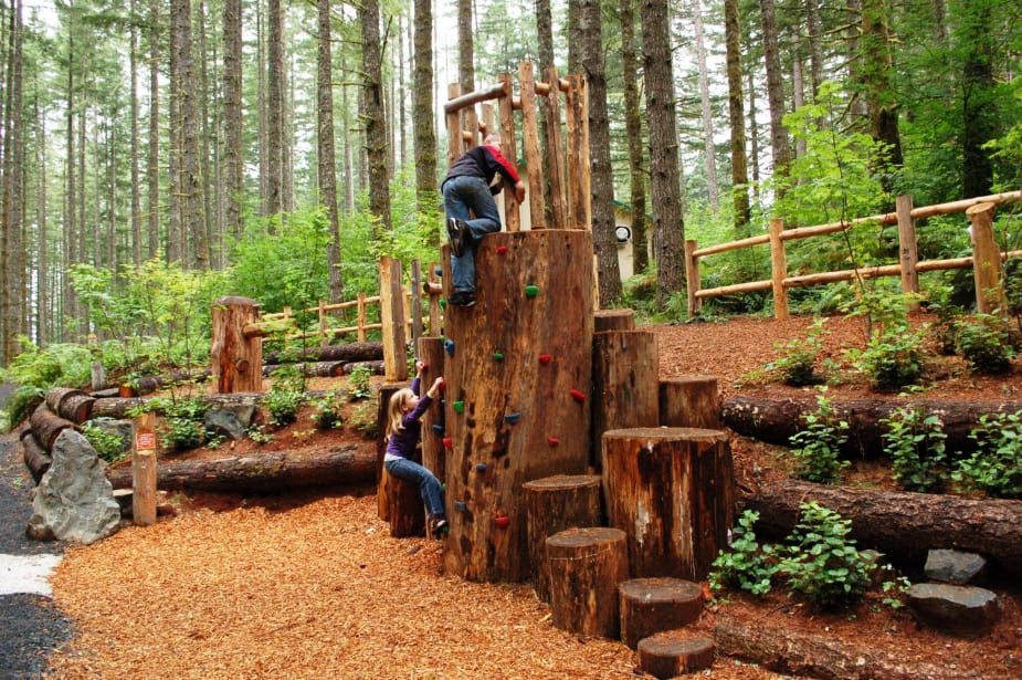 Clearing for Outdoor Recreation: Nature's Playground 2