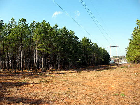 Land Clearing for Utilities: Powering Communities