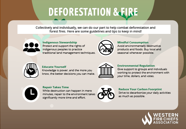 Deforestation Services: Responsible Practices