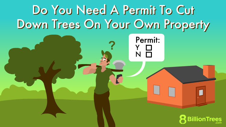 Land Clearing Laws by State: Understanding Local Rules