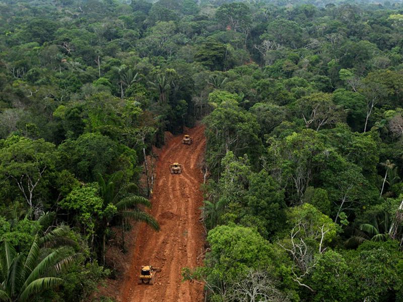 Large-Scale Land Clearing: Vast Transformations