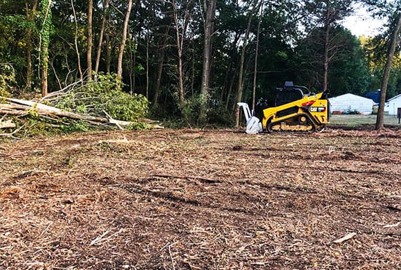 Mulching After Land Clearing: Enhancing Ecosystems 2