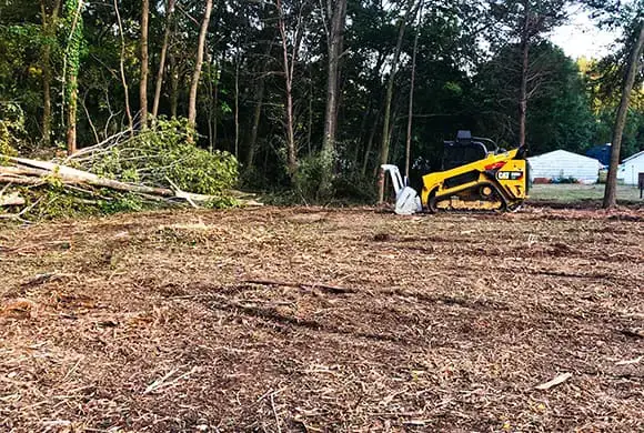 Mulching Land Clearing: Green Practices