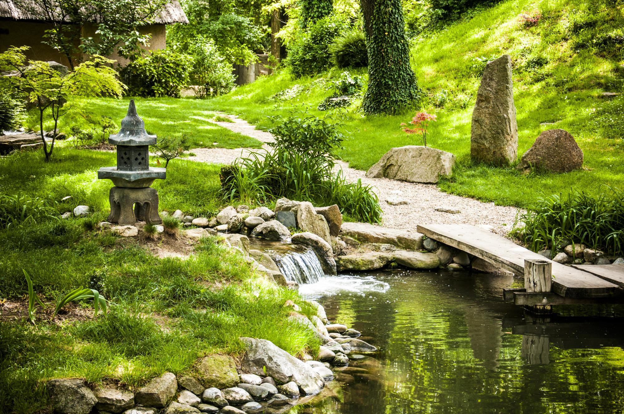 Clearing for Meditation Gardens: Finding Serenity
