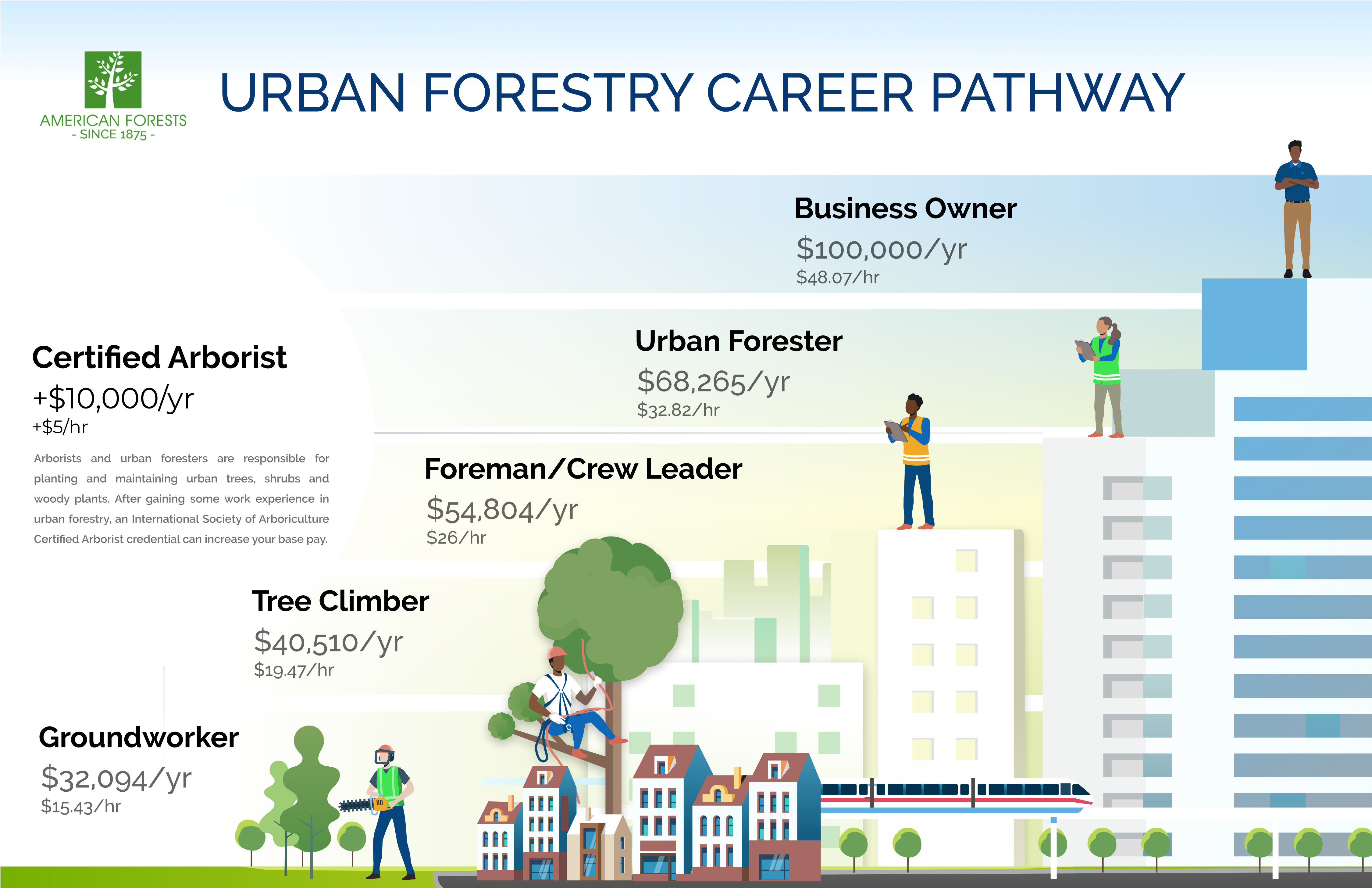 Paths to Progress: Land Clearing Career Paths
