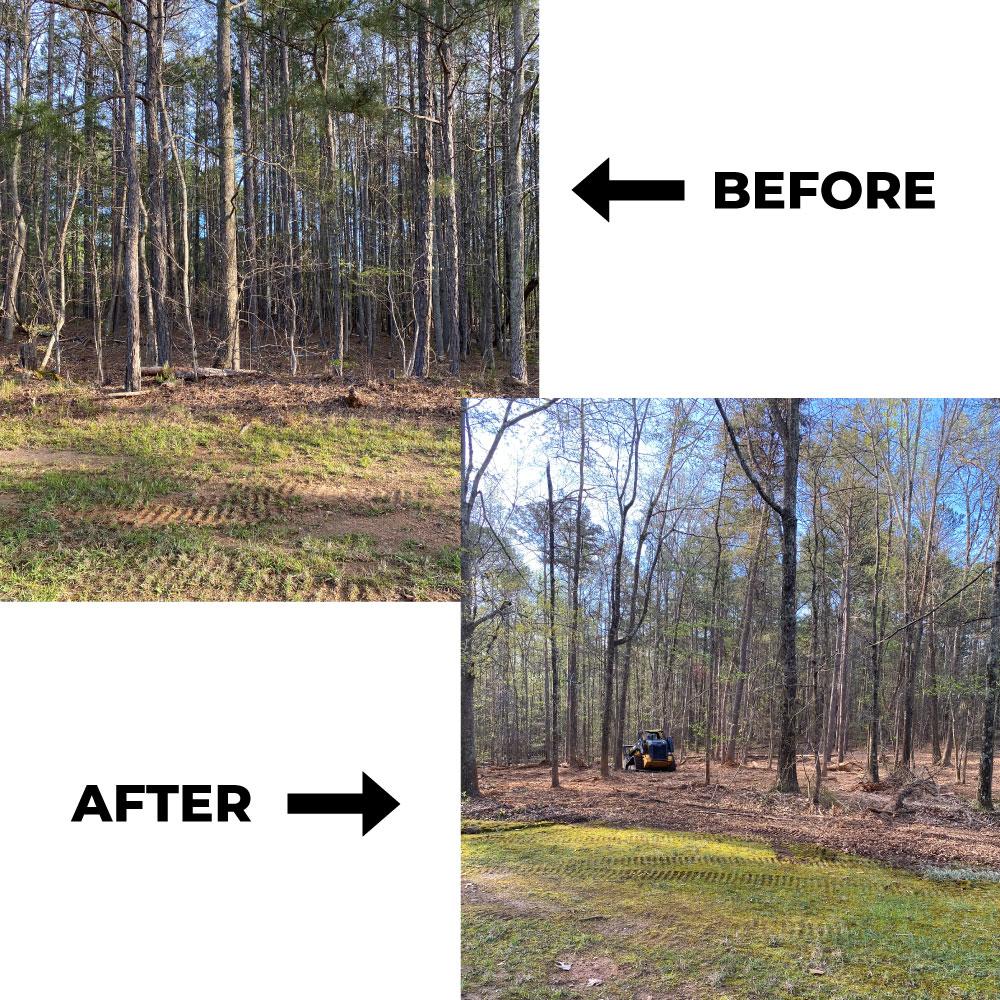 Mulching After Land Clearing: Enhancing Ecosystems
