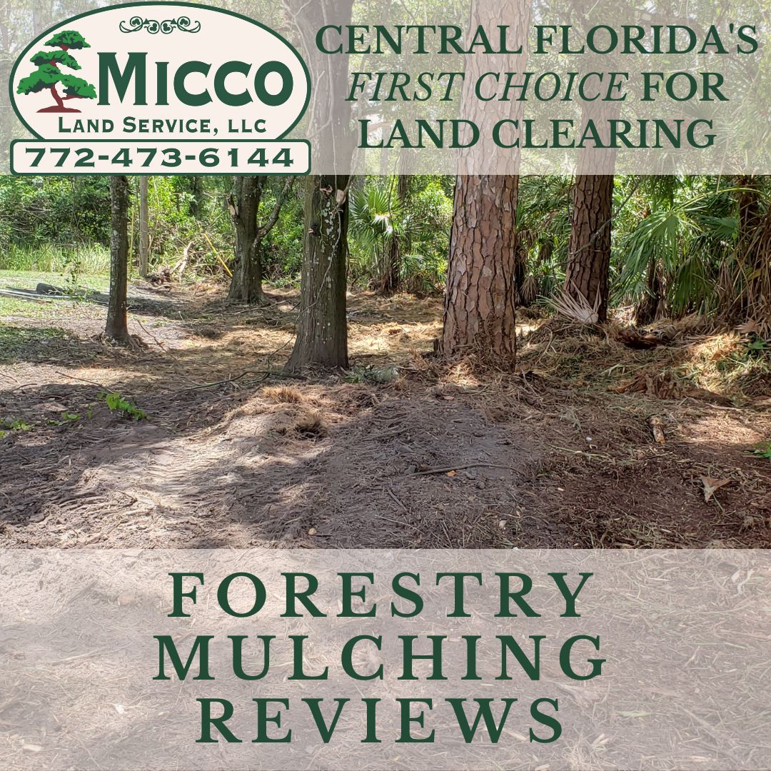 Land Clearing Reviews: Customer Feedback 2