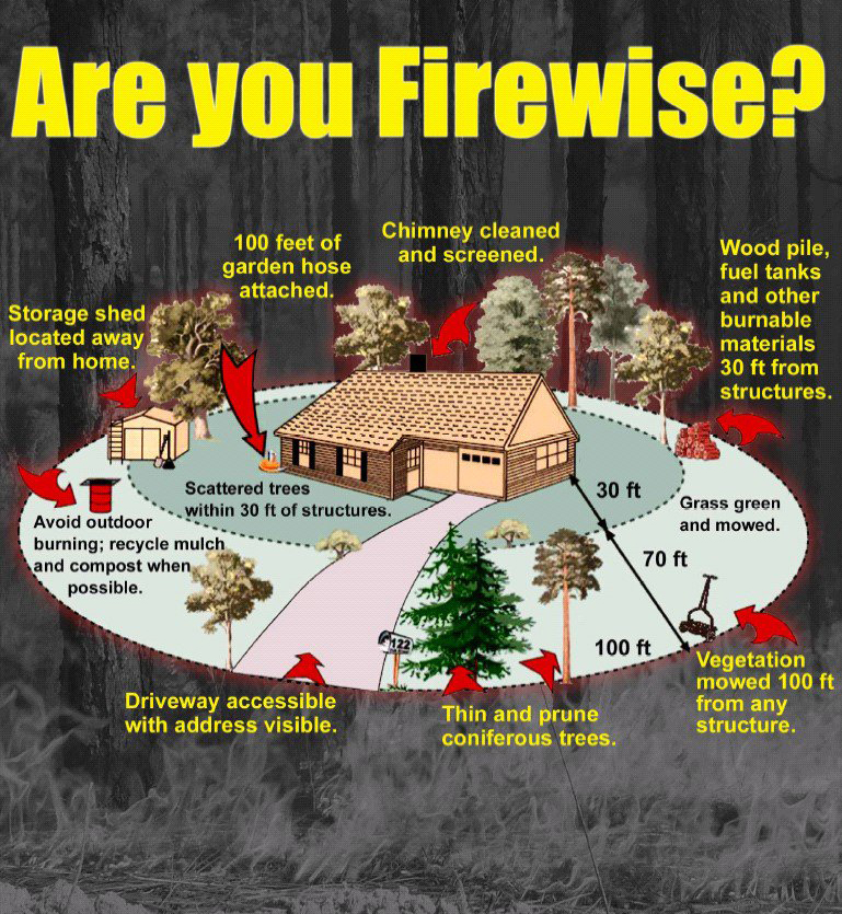 Clearing for Fire Prevention: Protecting the Wild