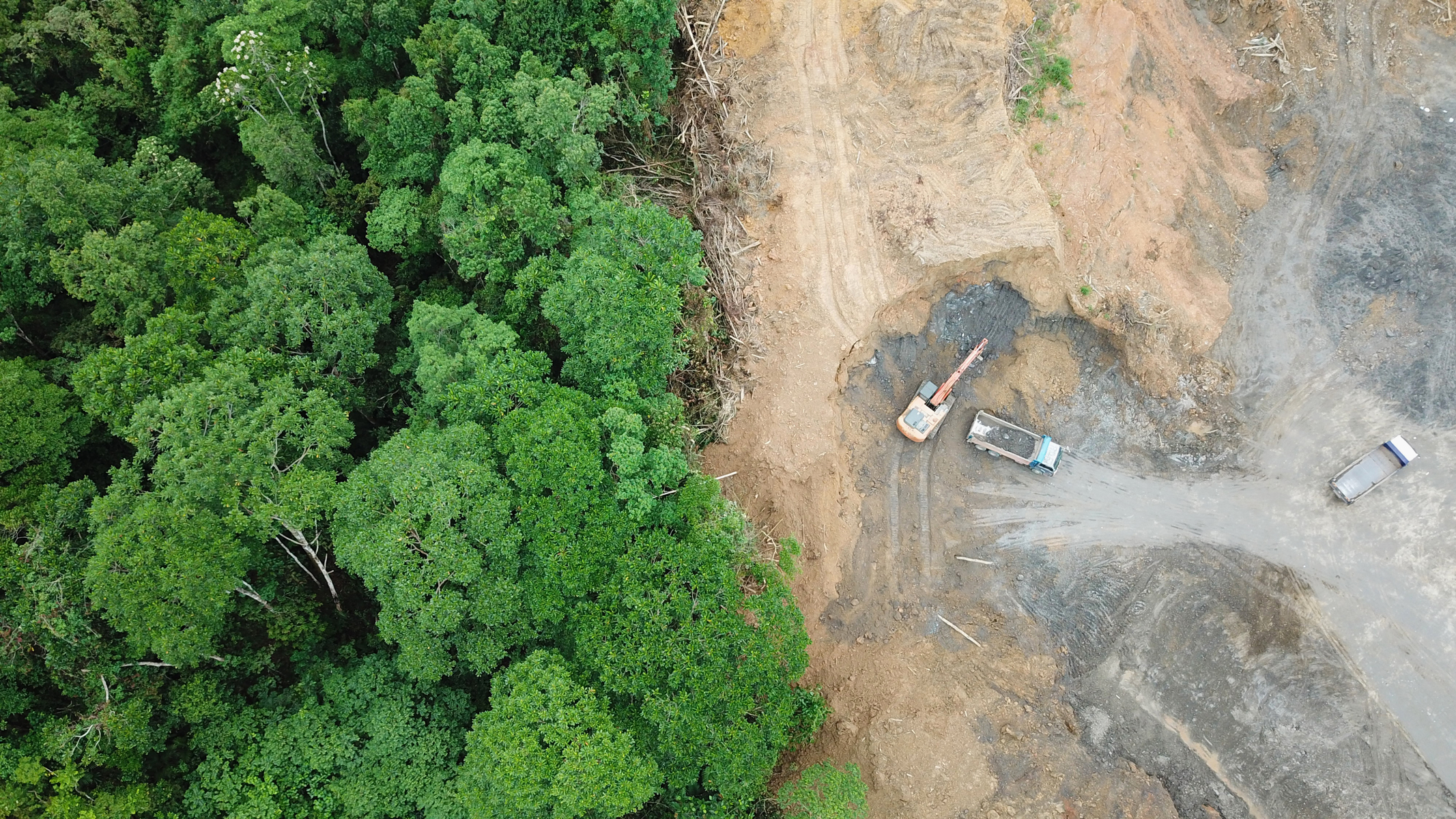Environmental Impact of Land Clearing: Sustainable Choices