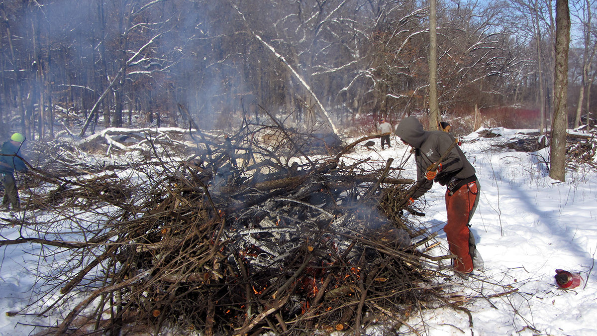 Land Clearing During Winter: Cold-Weather Challenges
