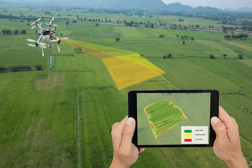 Mapping the Future: Land Clearing Drone Mapping