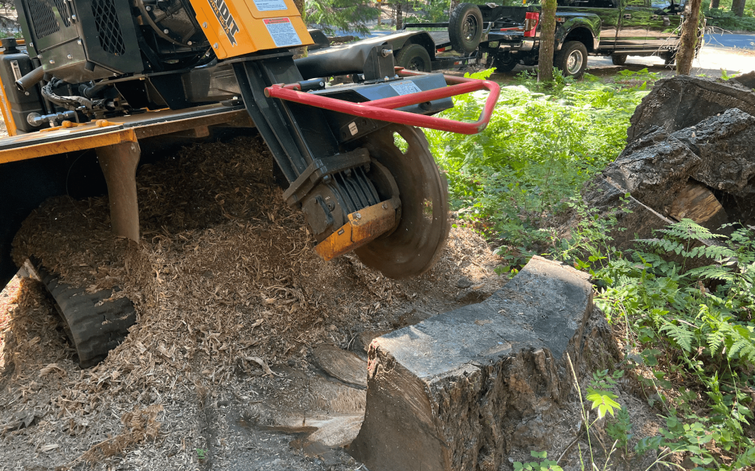 Discover The Benefits of Stumps Grinding