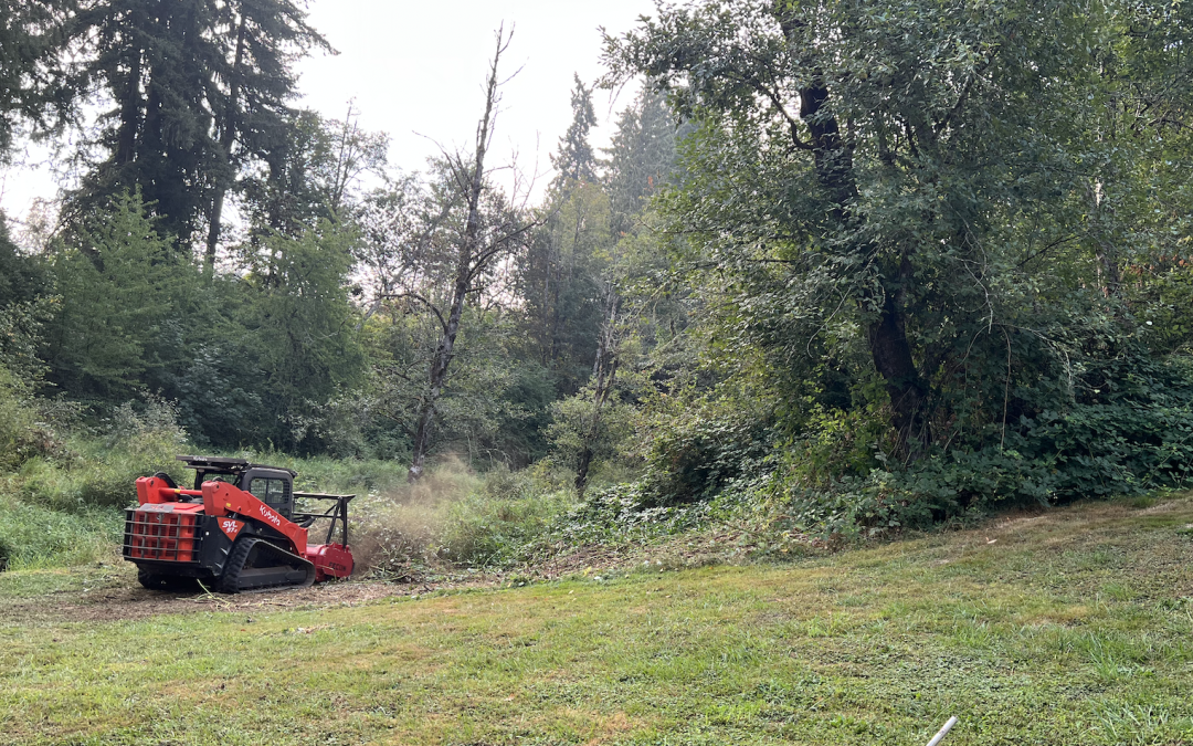 The Ultimate Guide to Forestry Mulching Machine Rentals
