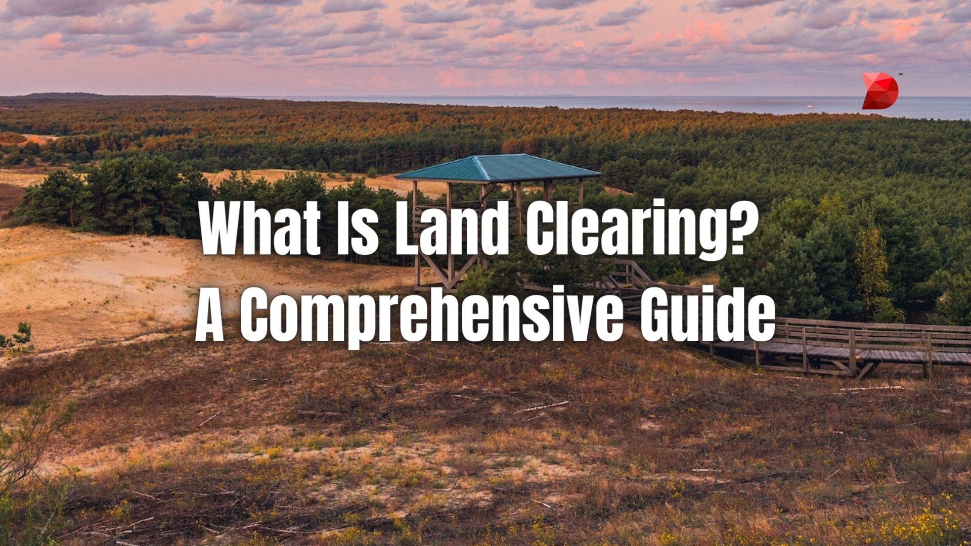 Land Clearing Advice: Expert Guidance
