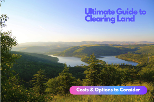 Local Land Clearing Laws and Guidelines: Know Your Terrain