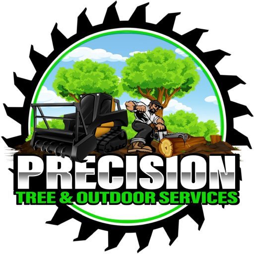 Professional Lot Clearing: Precision Services 2