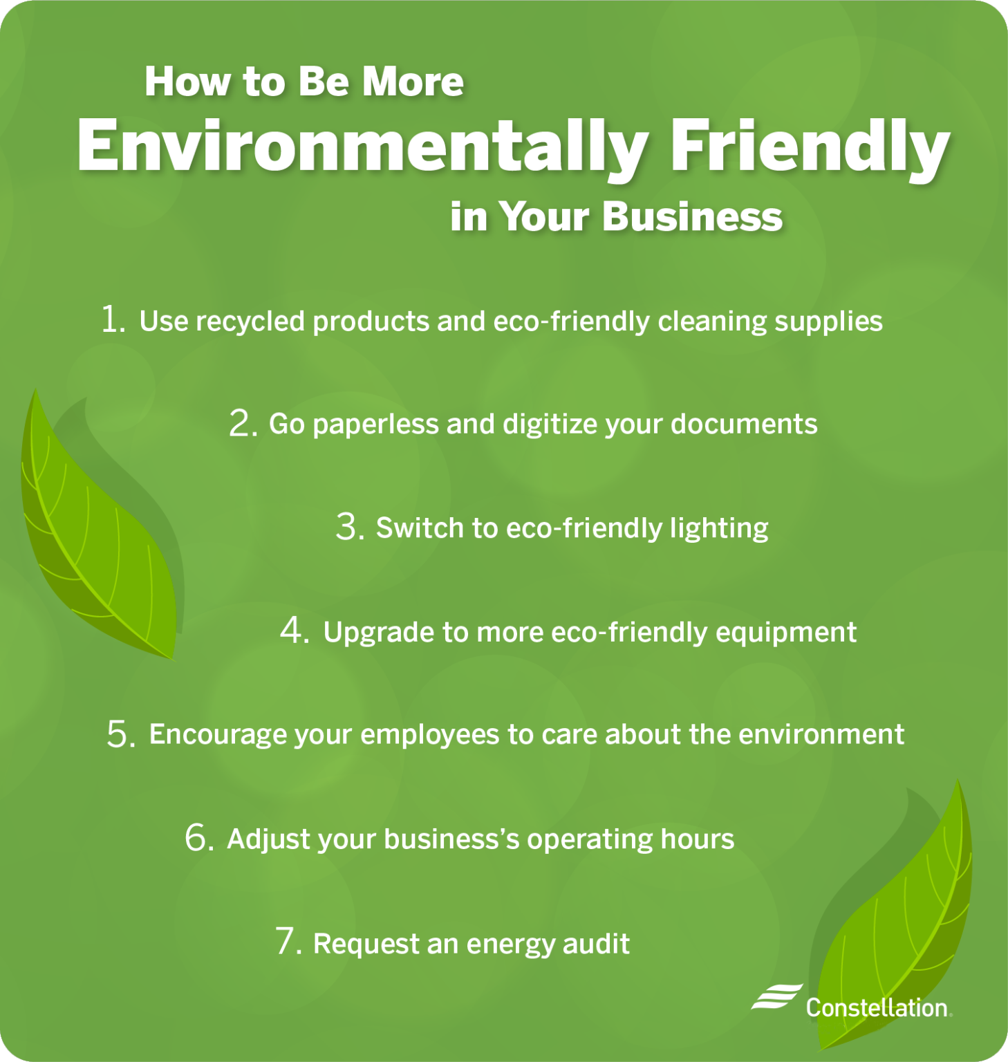 Sustainable Site Clearing: Eco-Friendly Practices 2