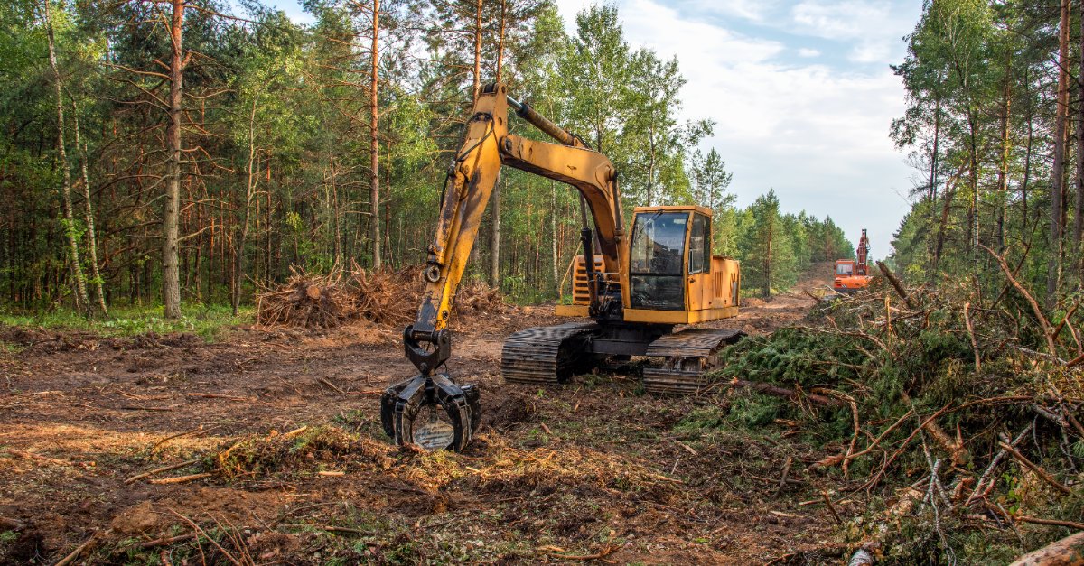 Efficient Lot Clearing: Streamlined Solutions