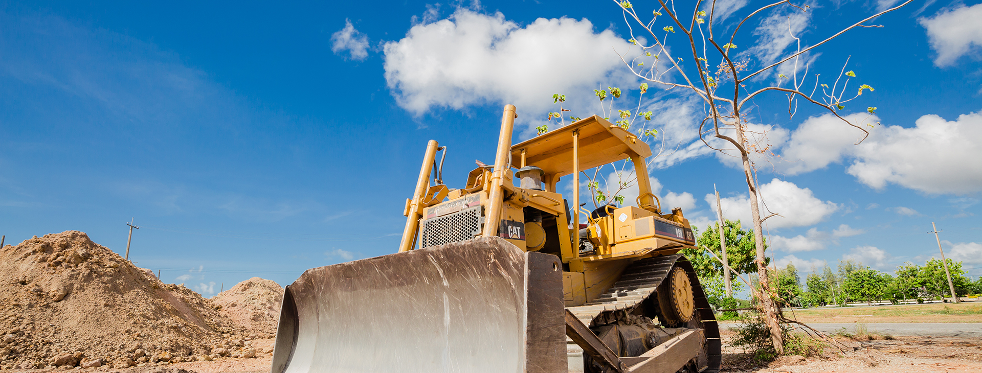 Land Clearing Glossary: Decoding Terminology 2
