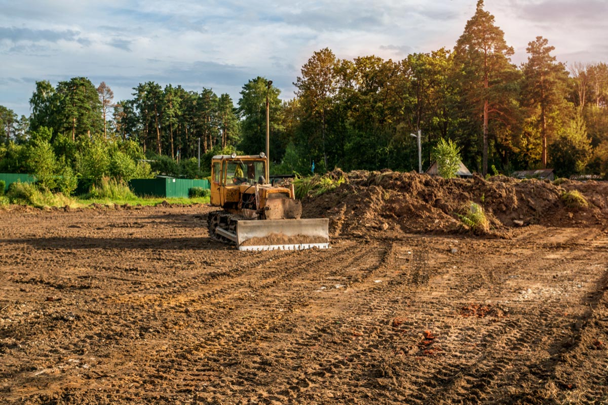 Land Clearing Deals: Budget-Friendly Options