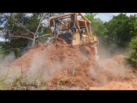Bulldozer Land Clearing: Power and Precision 2