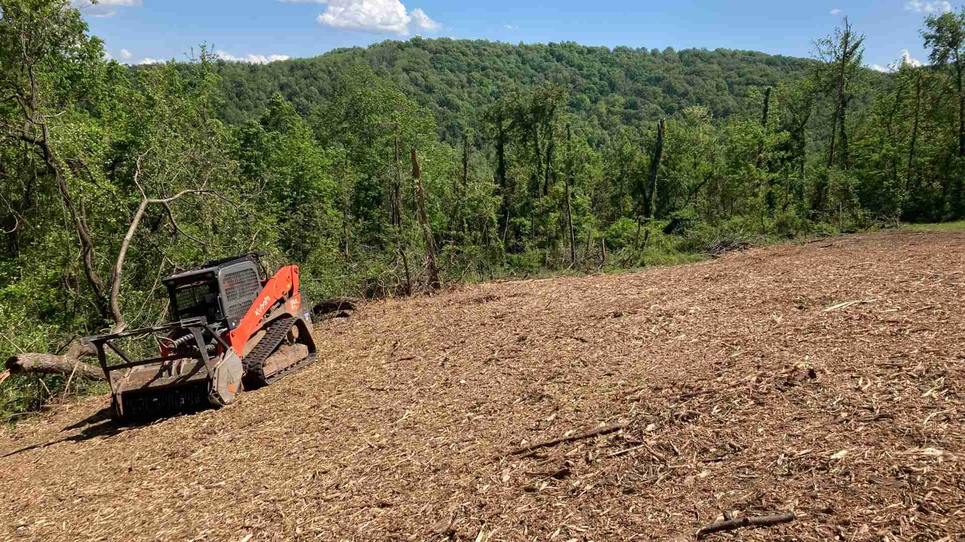 Growing Forward: Land Clearing Professional Development