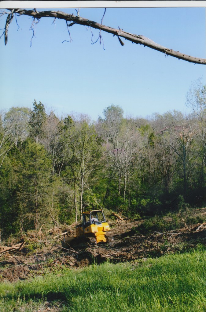 Land Clearing for Horse Pastures: Equestrian Excellence 2