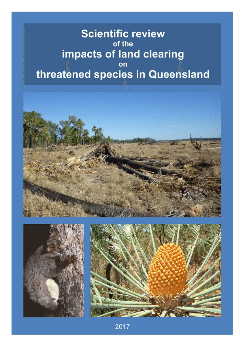 Eco Reports: Land Clearing Environmental Reports