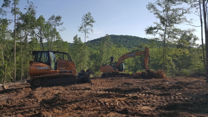 Contractors for Brush Clearing: Taming the Wild 2