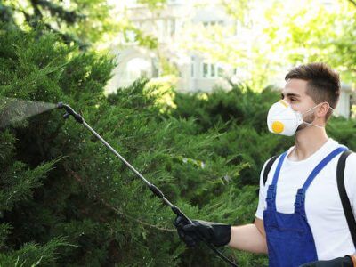 Pest Control in Clearing: Land Clearing Pest Control