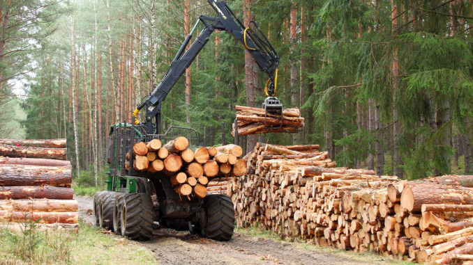 Timber Land Clearing: Harvesting Resources