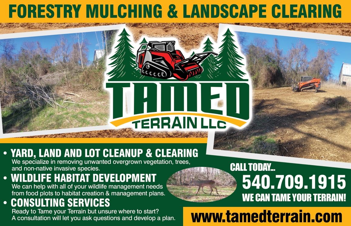 Vegetation Clearing Services: Taming the Green