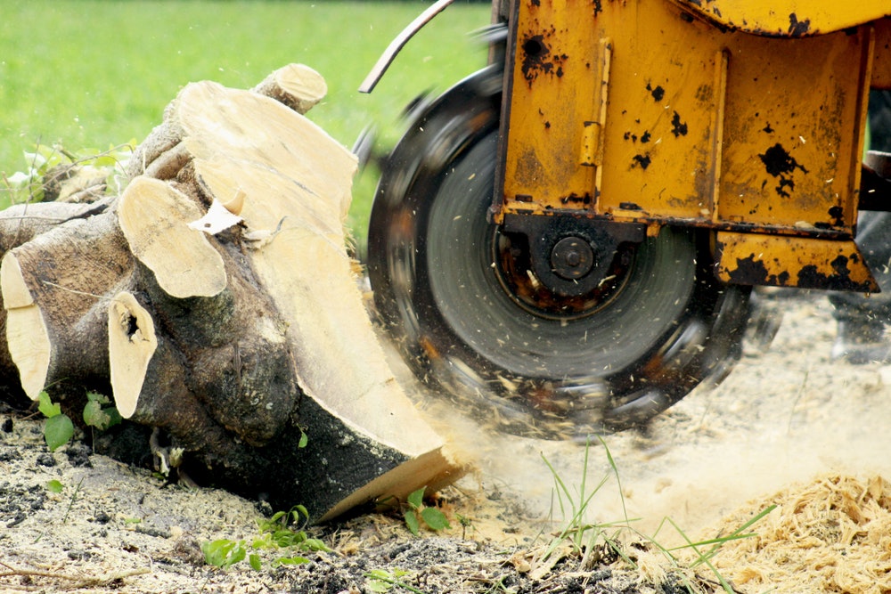 Stump Clearing Services: Removing Remnants