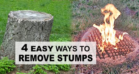 Tree and Stump Removal: Erasing Obstacles 2