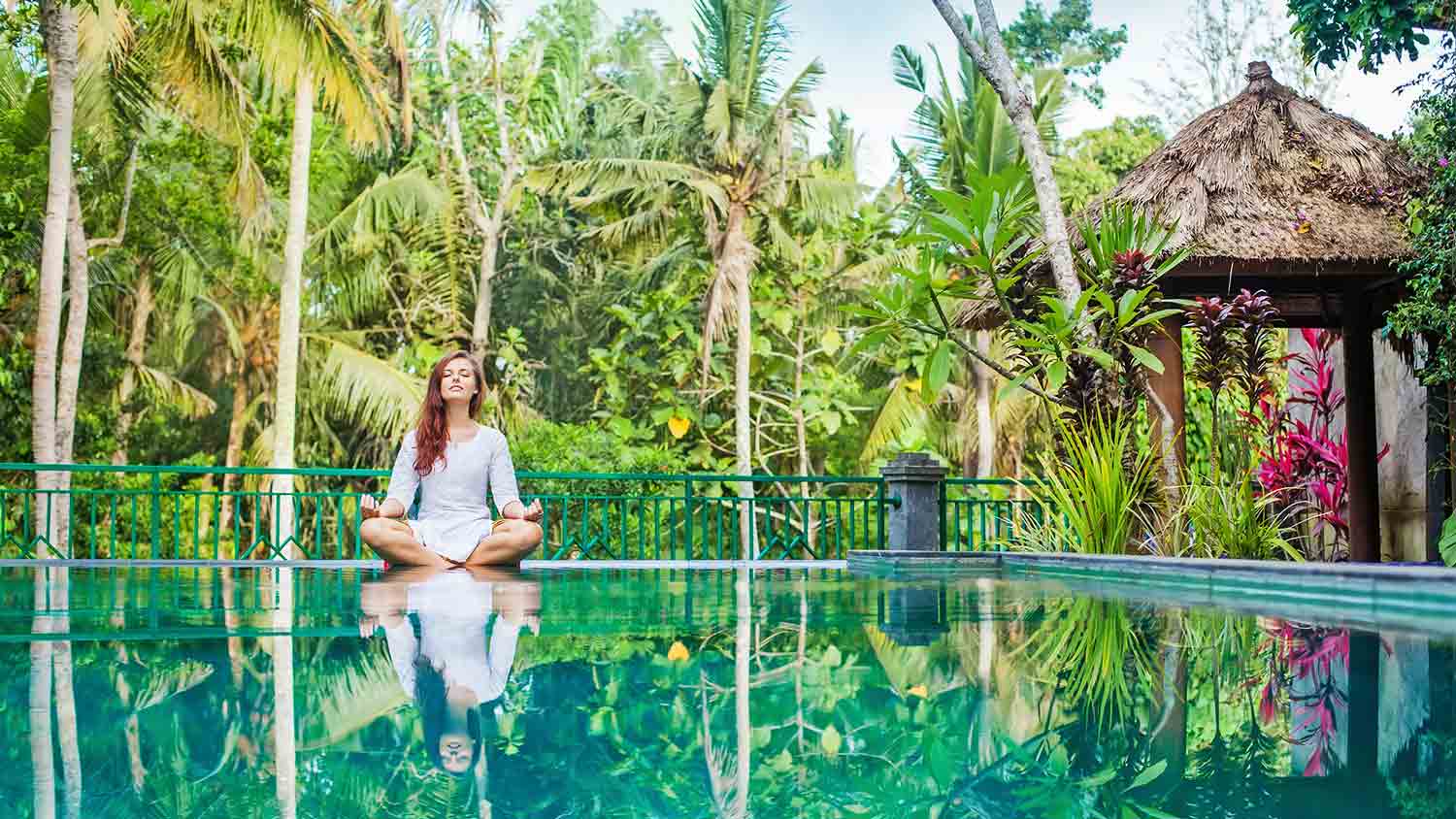Clearing Land for Yoga Retreats: Finding Zen
