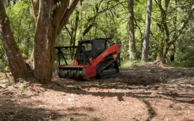 Professional Land Clearing Services in Clark County