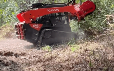 Expert Land Clearing Contractors in Clark County